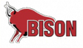 Bison Sports Wear
